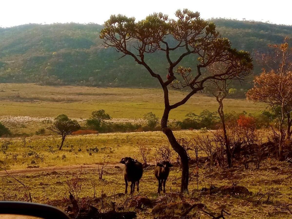Villa Agape - Chapada Dos Veadeiros Alto Paraíso de Goiás Buitenkant foto