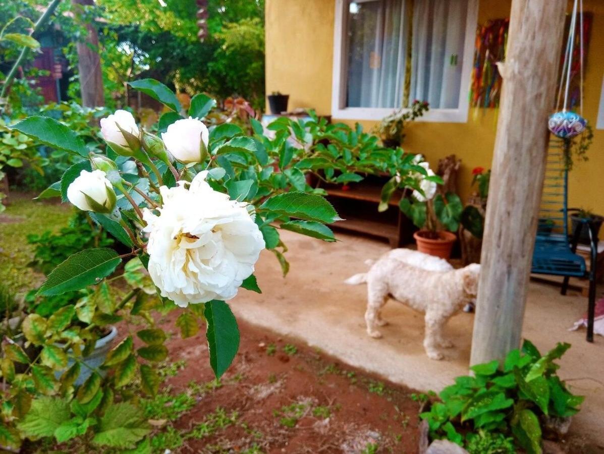 Villa Agape - Chapada Dos Veadeiros Alto Paraíso de Goiás Buitenkant foto