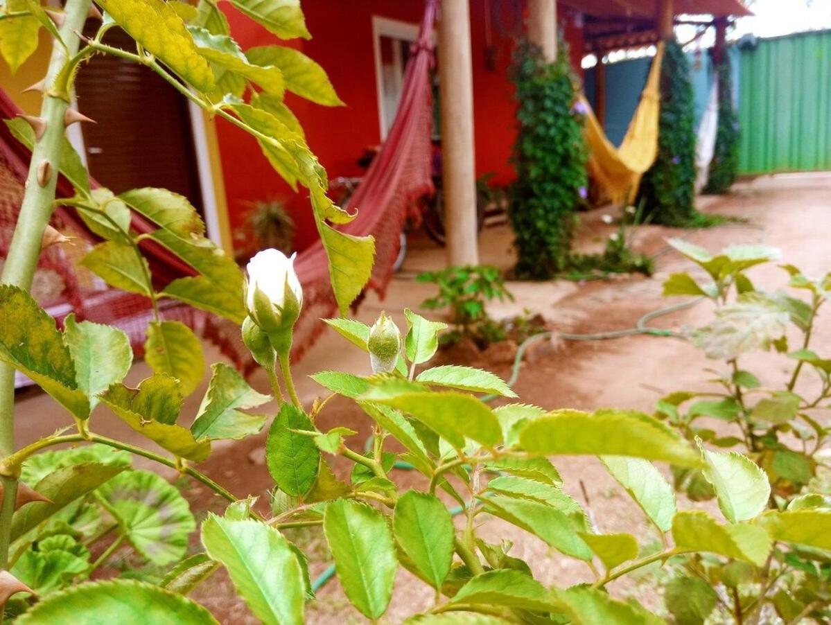 Villa Agape - Chapada Dos Veadeiros Alto Paraíso de Goiás Buitenkant foto