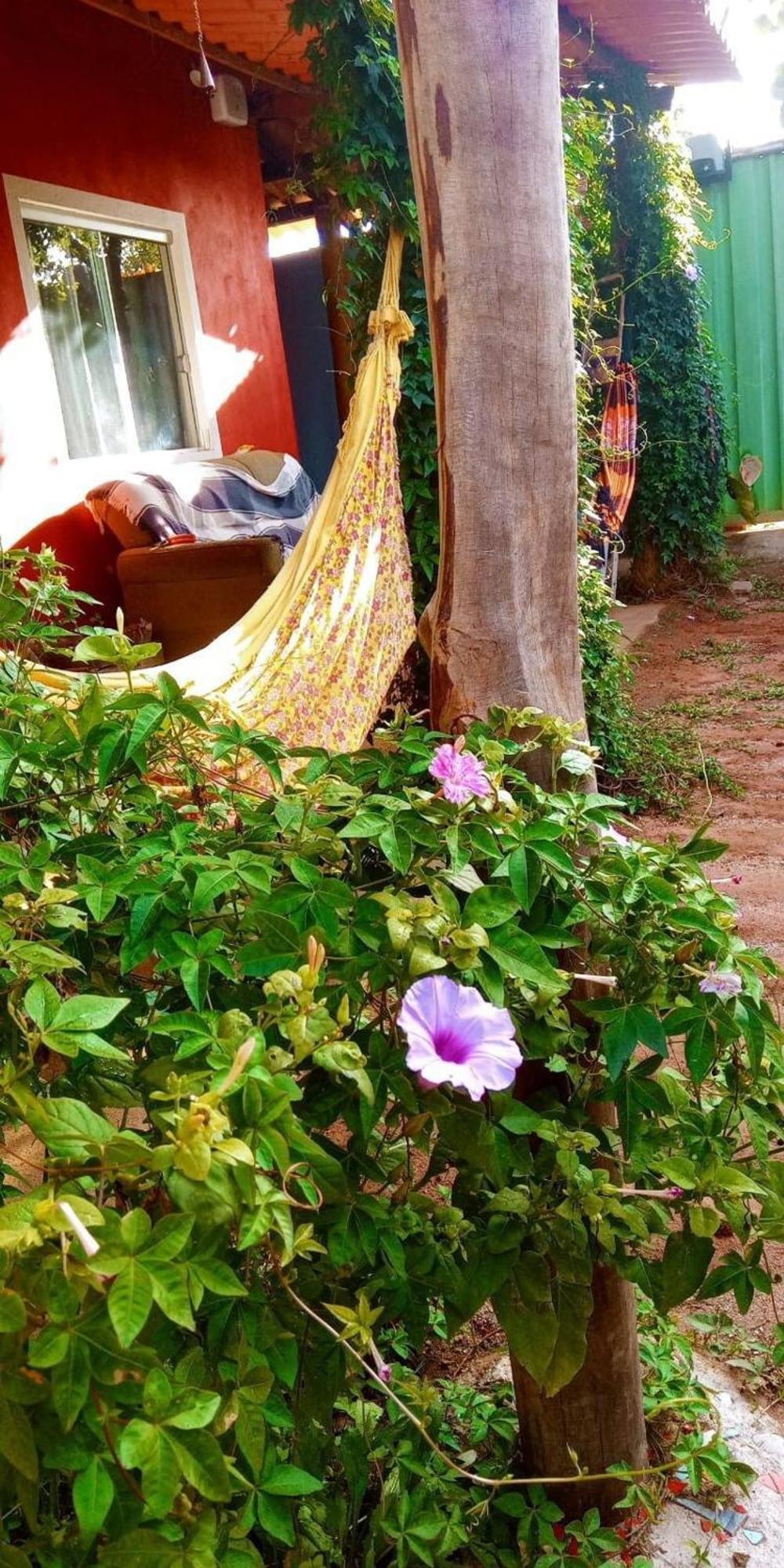 Villa Agape - Chapada Dos Veadeiros Alto Paraíso de Goiás Buitenkant foto