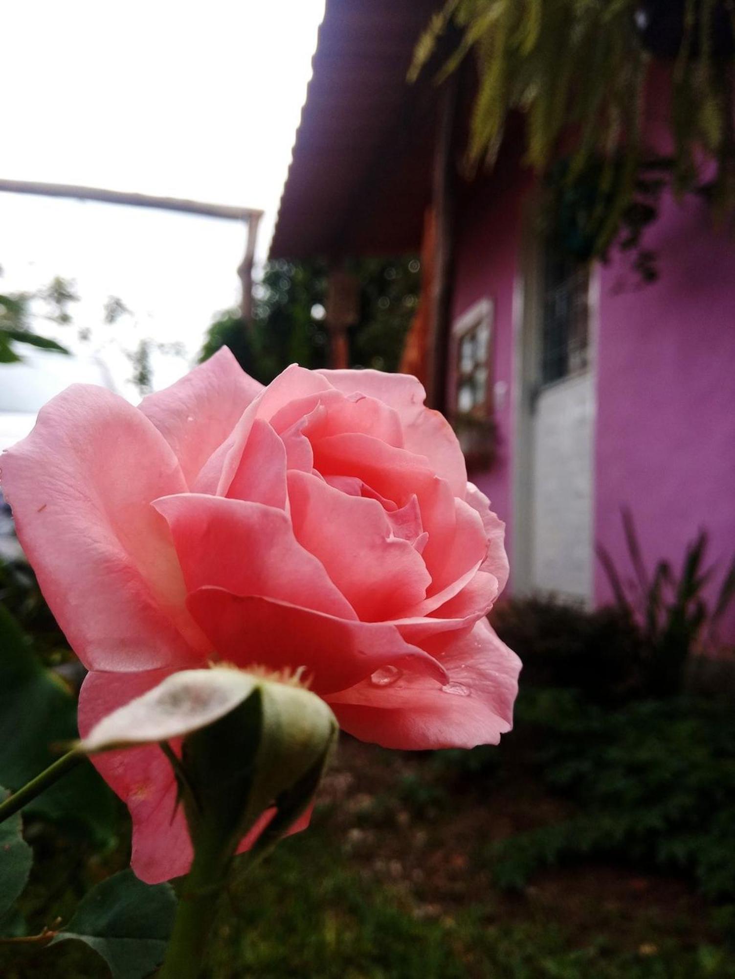 Villa Agape - Chapada Dos Veadeiros Alto Paraíso de Goiás Buitenkant foto