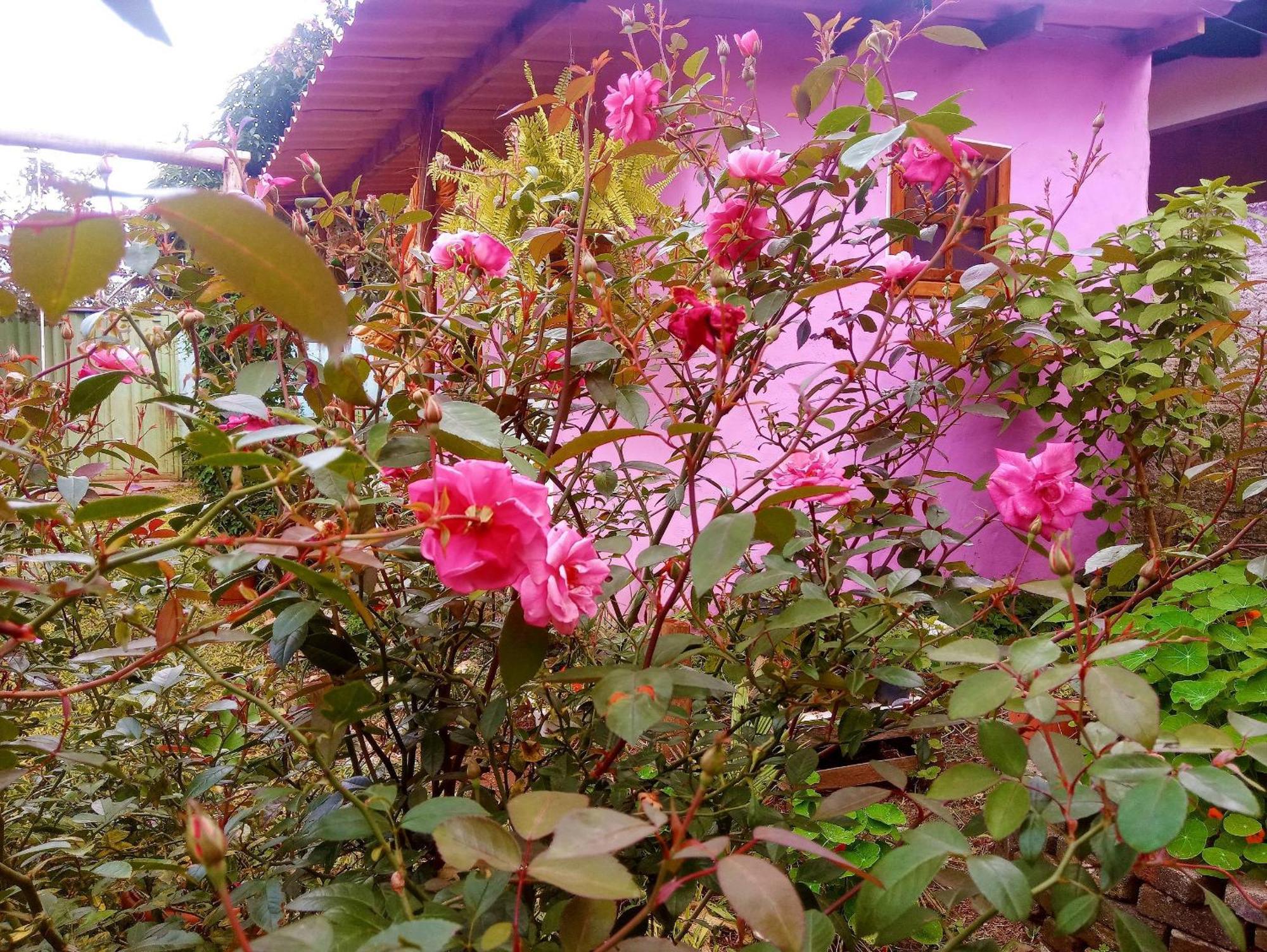 Villa Agape - Chapada Dos Veadeiros Alto Paraíso de Goiás Buitenkant foto